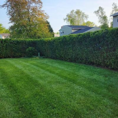 MOWING